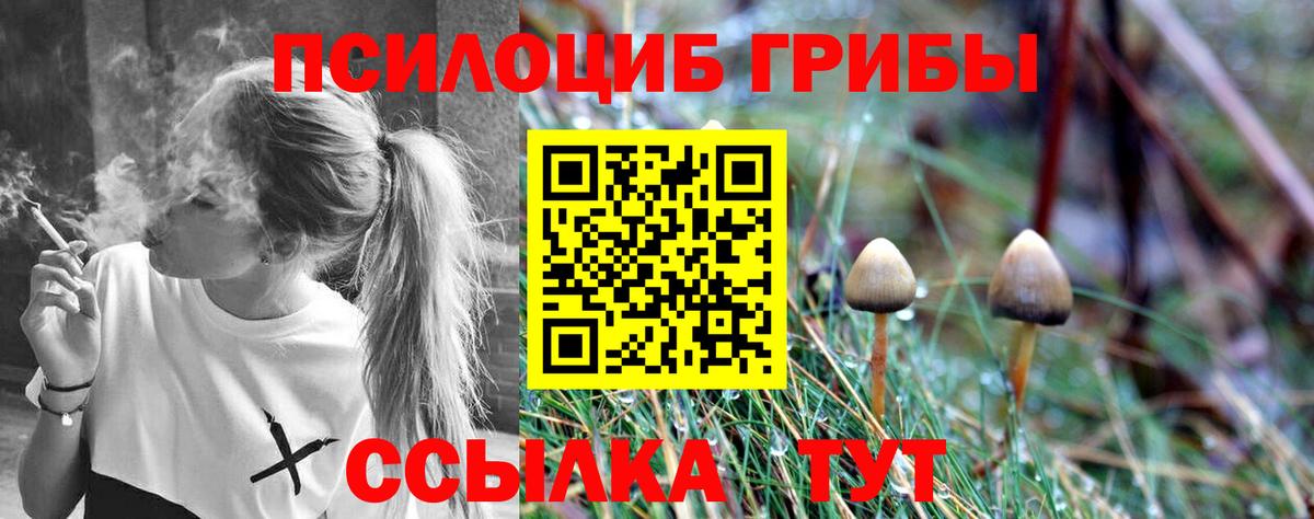Хасавюрт  Псилоцибиновые грибы Magic Shrooms  Вход с VPN 